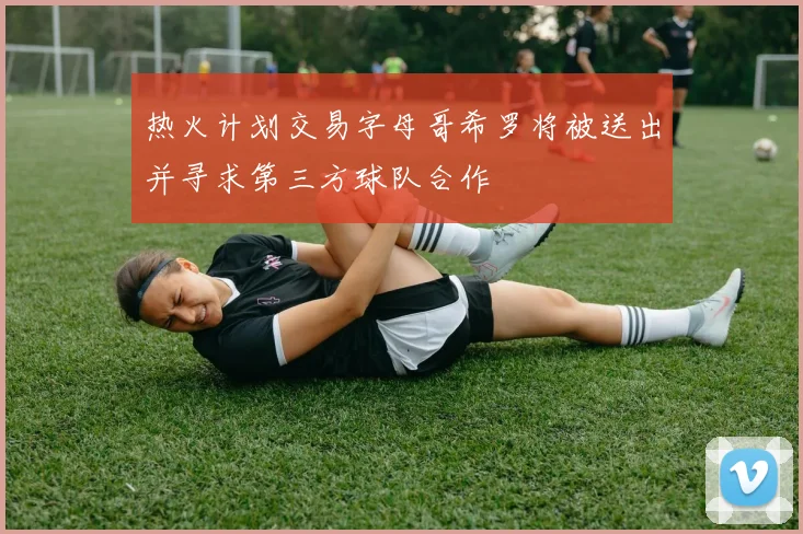 热火计划交易字母哥希罗将被送出并寻求第三方球队合作