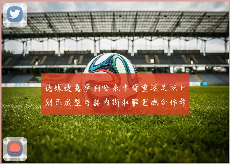 德媒透露萨利哈米季奇重返足坛计划已成型与赫内斯和解重燃合作希望