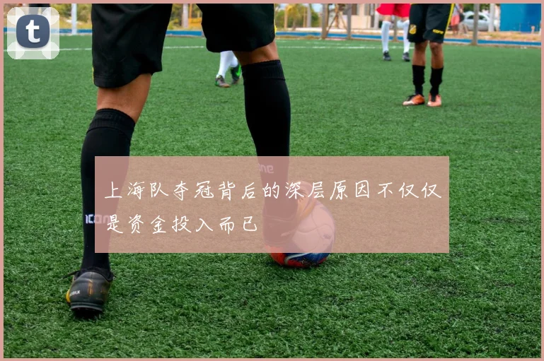 上海队夺冠背后的深层原因不仅仅是资金投入而已