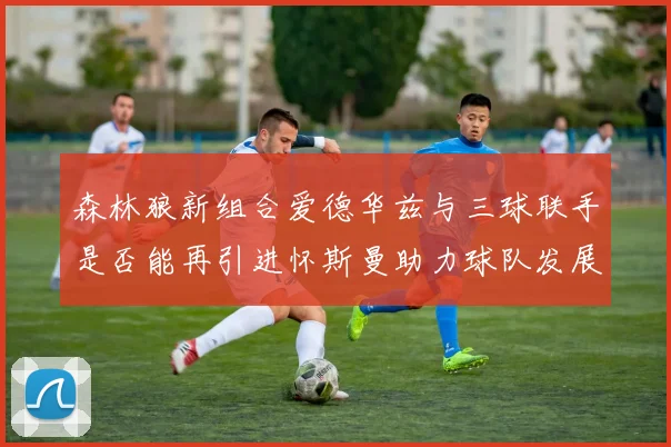森林狼新组合爱德华兹与三球联手是否能再引进怀斯曼助力球队发展