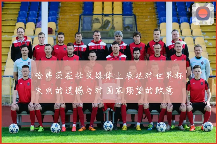 哈弗茨在社交媒体上表达对世界杯失利的遗憾与对国家期望的歉意