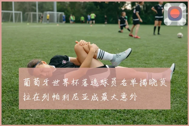 葡萄牙世界杯落选球员名单揭晓莫拉在列帕利尼亚成最大意外